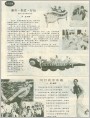 国外沙发和睡床种种、风行的旱冰鞋