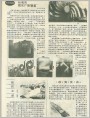 巨石之谜、壮观的街头广告壁画等