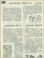 新婚性生活应注意的问题等5篇