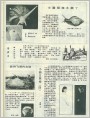 小鼓槌和大脚丫等四篇