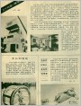 世界见闻5篇