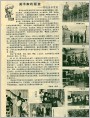 鲁迅美术学院