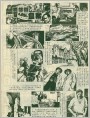 毛格街血案