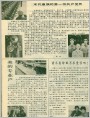 人物特写多篇