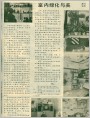 室内绿化与美