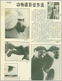 动物摄影佳作选