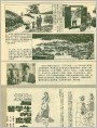 她与留学生的恋爱史