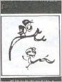 乌鸦又上当了