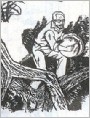 虎崽