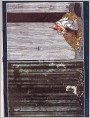 《西方的太阳和东方的月亮》艺术插图