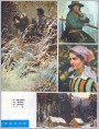 王德威作品选