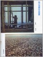 四川油画作品选登