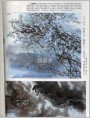 白云深处有人家 梨花春雨