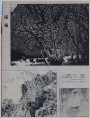版画--《边塞曲》（木刻）《巍山松青》（铜版）《雨》（水印木刻）