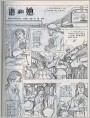 他和她