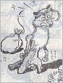 长尾鸟和草狼
