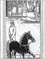 汗血马