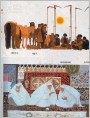 少数民族风土人情作品专辑3