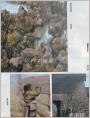 少数民族风土人情作品专辑