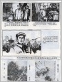 国画二帧