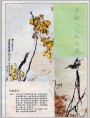 朱颖人花鸟画选