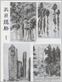 天目揽胜