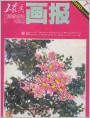 工农兵画报1980年7期封面