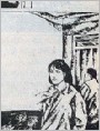 梧桐雨 桂子香(上)