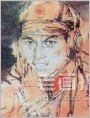 保卫塔河