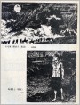 陈忠良、杨纳维版画两幅
