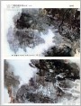 黄革胜,陈玉圃国画两幅
