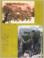 孙克纲国画两幅