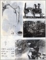 版画、套色版画、油画四幅