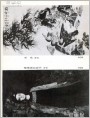 侗族拖拉机手（油画）、伙伴（国画）