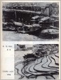 《船家》(油画)《龙脊梯田》(水彩)
