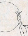 拳头好