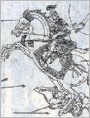 战马瑰宝飒露紫