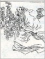 蔓陀萝花