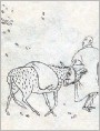 贾岛三撞驾