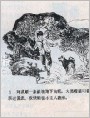 阿诚的龟