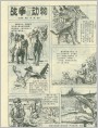 战争与动物