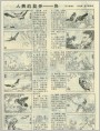 人类的助手--鸟