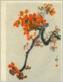 封底:英雄花盛