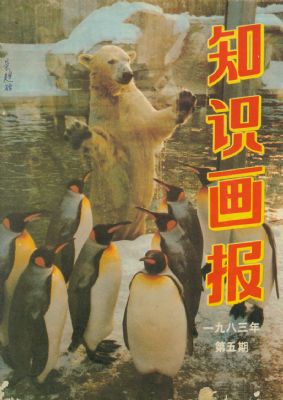 《知识画报》1983 年第 5 期封面
