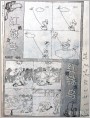 红男绿女鸟