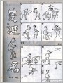 荒诞君