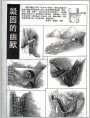 德国《建筑漫画》选登