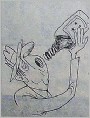 酒
