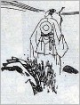 奇禽怪兽