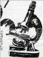 沃龙涅什神木